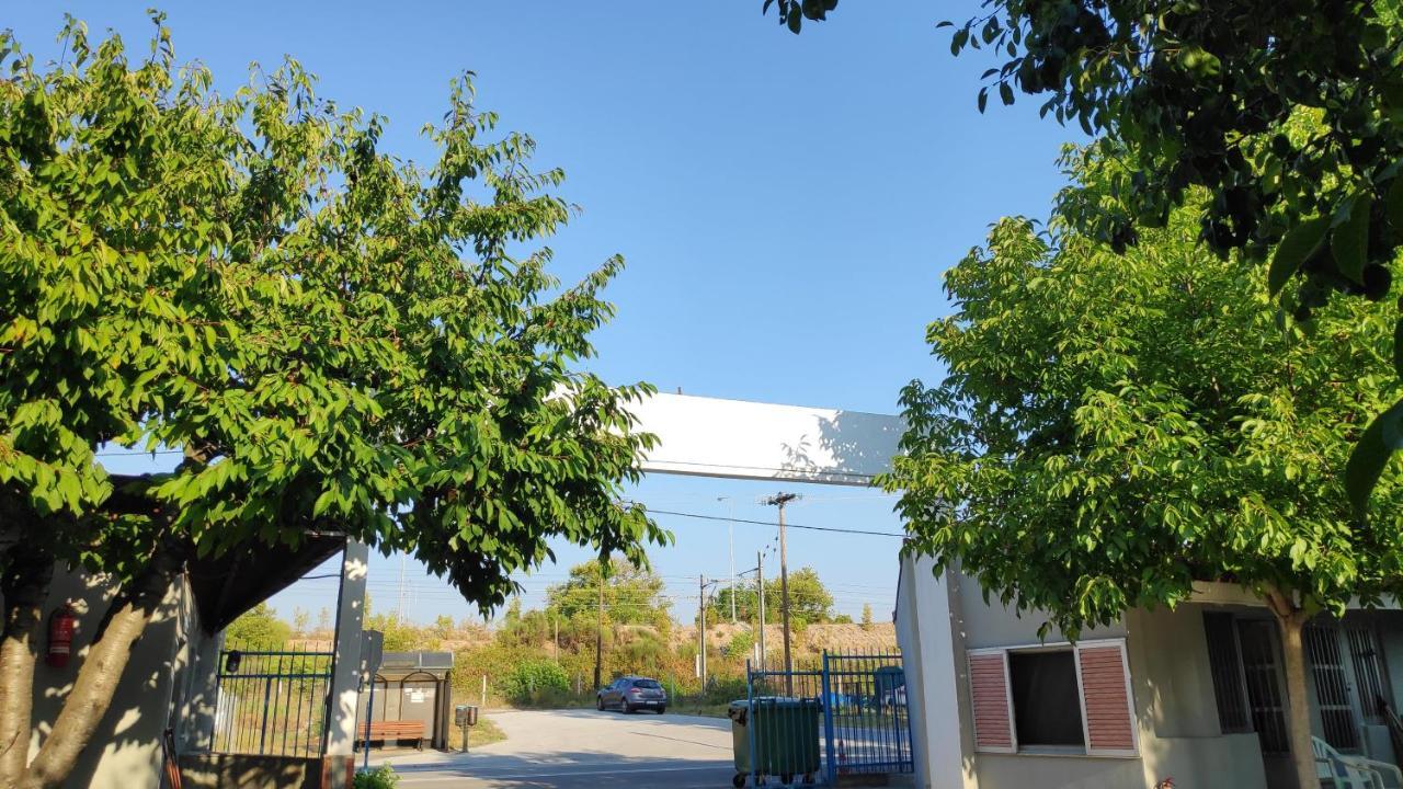 Camping Mitikas And Bungalows Plaka Litochorou Exteriér fotografie